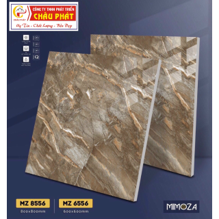 GẠCH LÁT NỀN 60X60 VICENZA MZ6556