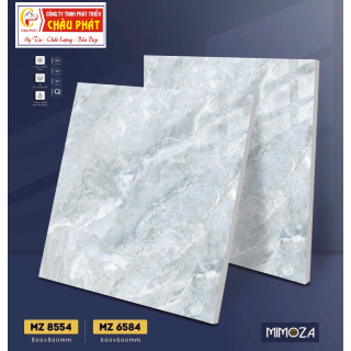 GẠCH LÁT NỀN 60X60 VICENZA MZ6584
