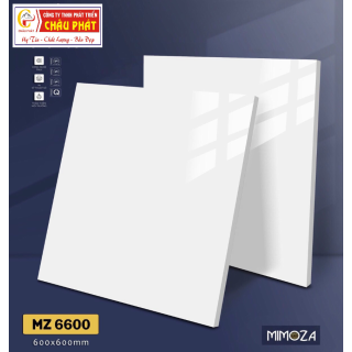 GẠCH LÁT NỀN 60X60 VICENZA MZ6600