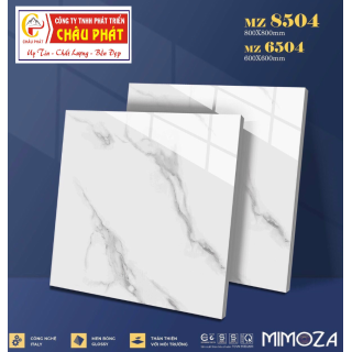 GẠCH LÁT NỀN 60X60 VICENZA MZ6504