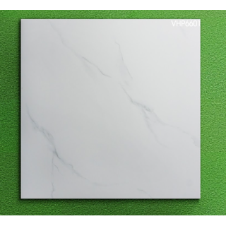 GẠCH LÁT NỀN 60X60 VIGLACERA VHP6601