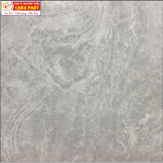 GẠCH LÁT SÀN NƯỚC 30X30 KNM 344