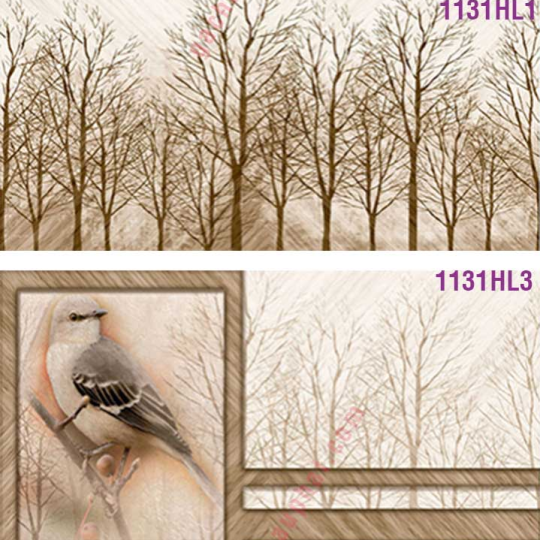 GẠCH ỐP TƯỜNG 30X60 ẤN ĐỘ 1131