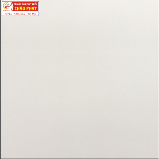 GẠCH LÁT SÀN NƯỚC 30X30 KNM 351
