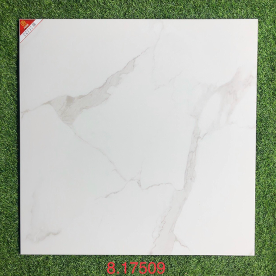 GẠCH LÁT NỀN - ỐP MẶT TIỀN 80X80 PRIME 17509