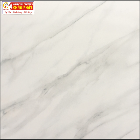  GẠCH LÁT SÀN NƯỚC 30X30 KNM 343