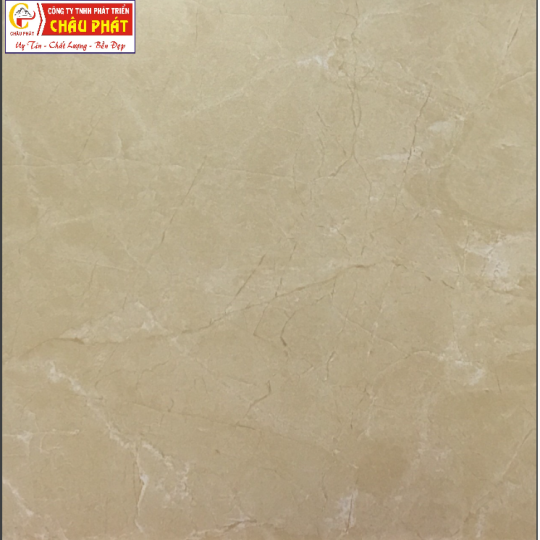  GẠCH LÁT SÀN NƯỚC 30X30 KNM 352