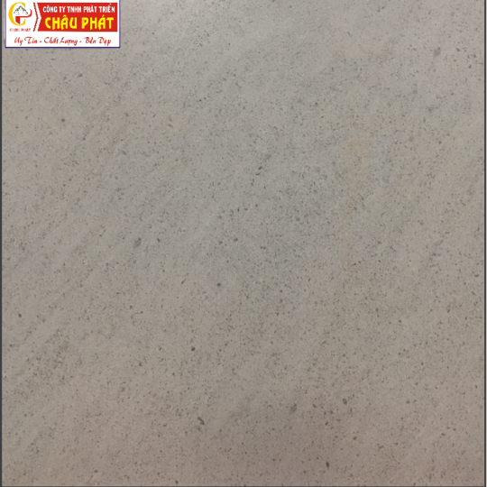 GẠCH LÁT SÀN NƯỚC 30X30 KNM 349