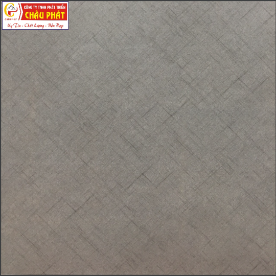 GẠCH LÁT SÀN NƯỚC 30X30 KNM 348