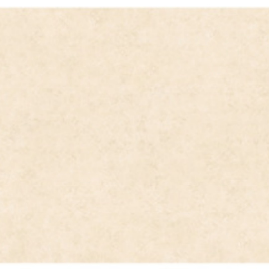 GẠCH ỐP TƯỜNG 30X60 CATALAN 3103