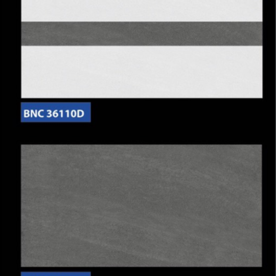 GẠCH ỐP TƯỜNG 30X60 BNC 36110 - 36111