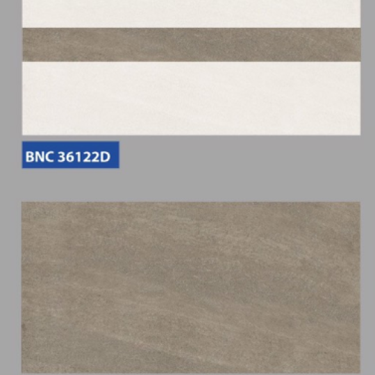 GẠCH ỐP TƯỜNG 30X60 BNC 36122 - 36123