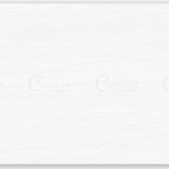 GẠCH ỐP TƯƠNG 30X60 CATALAN 3637