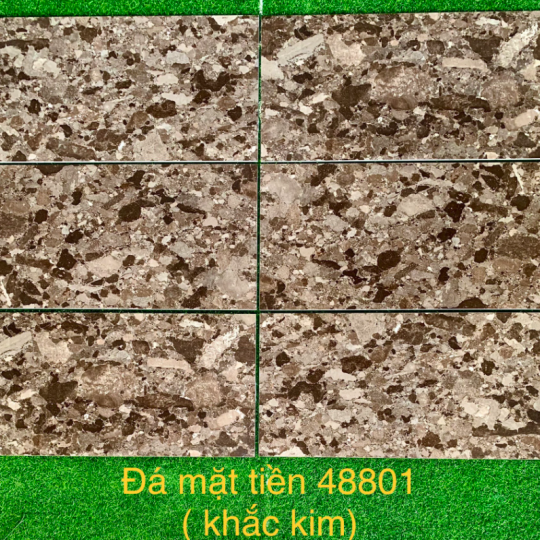 GẠCH CAO CẤP 40x80 TRUNG QUỐC 48801