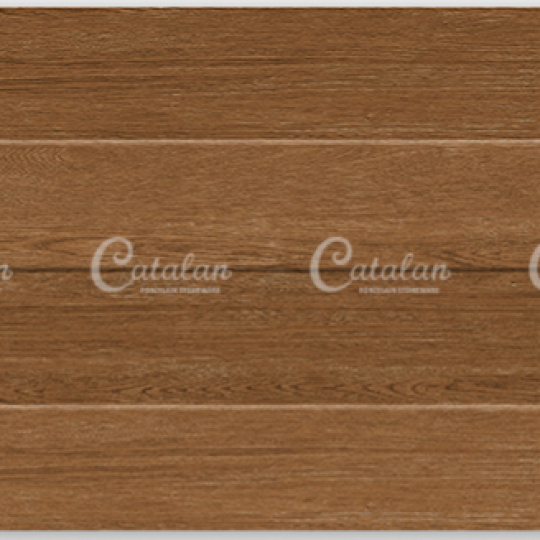 GẠCH ỐP TƯỜNG 30X60 CATALAN 3927