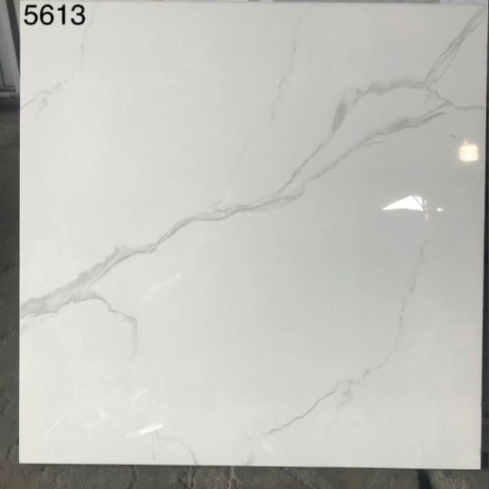 GẠCH LÁT NỀN 60X60 VITTO 5613