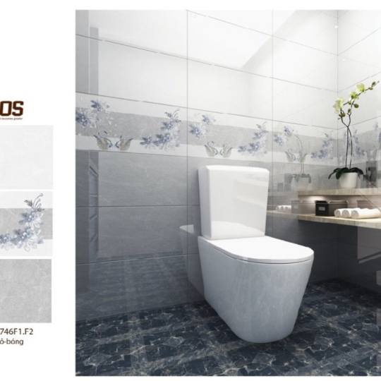 GẠCH ỐP TƯỜNG 30X60 MAXIMOS 5744 - 5746