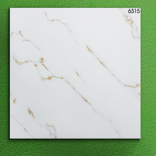 GẠCH LÁT NỀN 60X60 WORLD TILES 6315