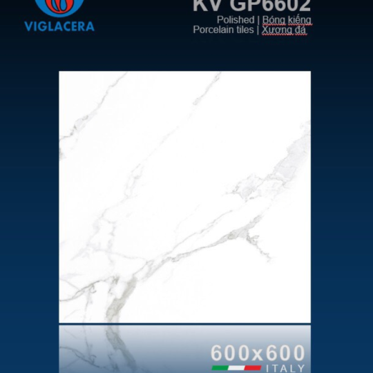 GẠCH LÁT NỀN 60X60 VIGLACERA GP6602