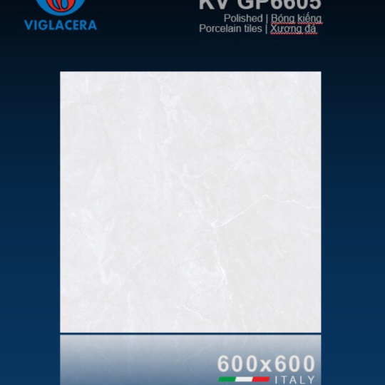 GẠCH LÁT NỀN 60X60 VIGLACERA GP6605