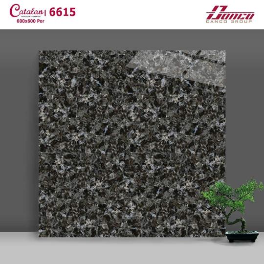 Gạch Lát Nền - Ốp Mặt Tiền 60x60 Vân Đá Hoa Cương Đen Catalan 6615