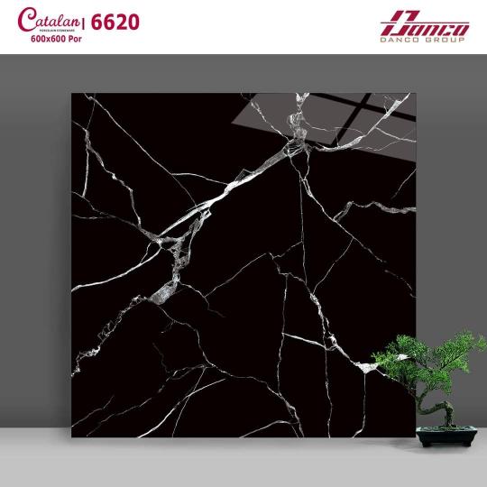 Gạch Lát Nền - Ốp Mặt Tiền 60x60 Đen Chớp Trắng Catalan 6620