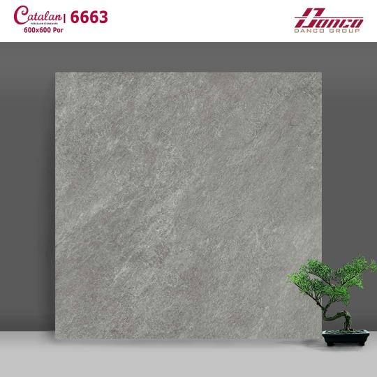 Gạch Lát Nền 60x60 Đá Mờ Men Matt Catalan 6663