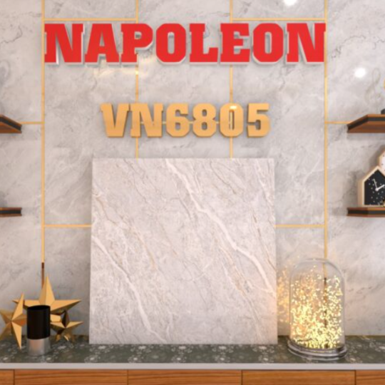 GẠCH LÁT NỀN 60X60 TRUNG NGUYÊN VN6805