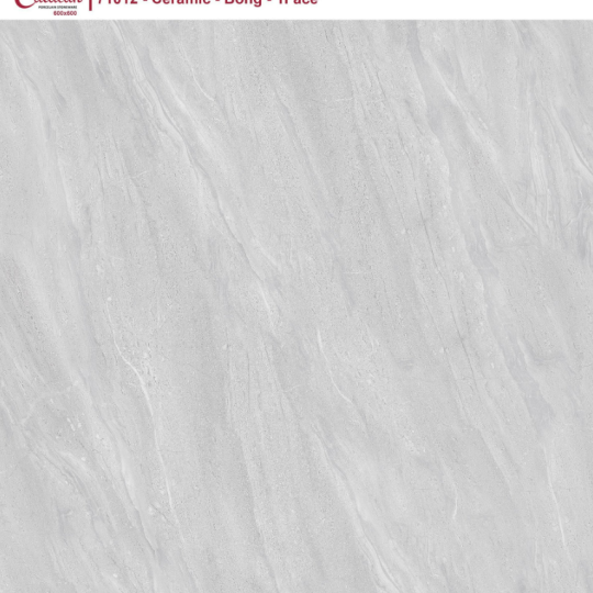 GẠCH LÁT NỀN 60X60 CATALAN XSMART XS71012