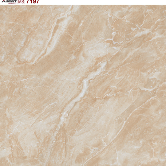 GẠCH LÁT NỀN 60X60 CATALAN XSMART XS7197