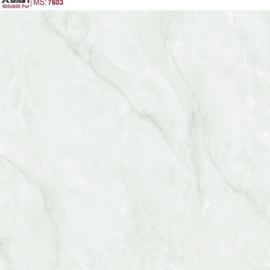 GẠCH LÁT NỀN 60X60 CATALAN XSMART XS7603