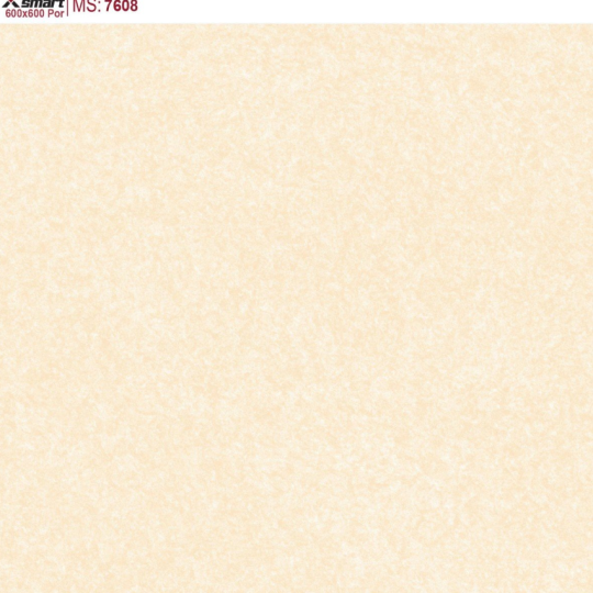 GẠCH LÁT NỀN 60X60 CATALAN XSMART XS7608