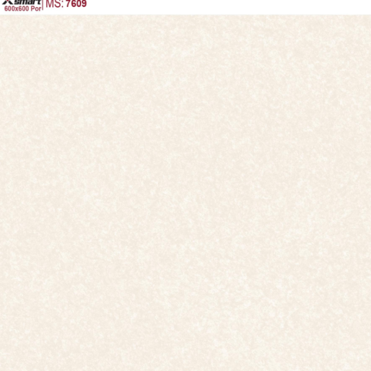 GẠCH LÁT NỀN 60X60 CATALAN XSMART XS7609