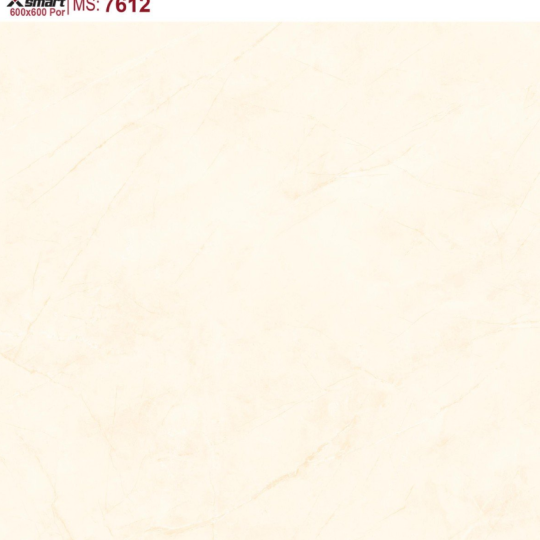 GẠCH LÁT NỀN 60X60 CATALAN XSMART XS7612