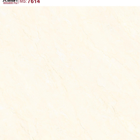 GẠCH LÁT NỀN 60X60 CATALAN XSMART XS7614