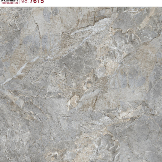 GẠCH LÁT NỀN 60X60 CATALAN XSMART XS7615