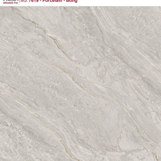 GẠCH LÁT NỀN 60X60 CATALAN XSMART XS7619