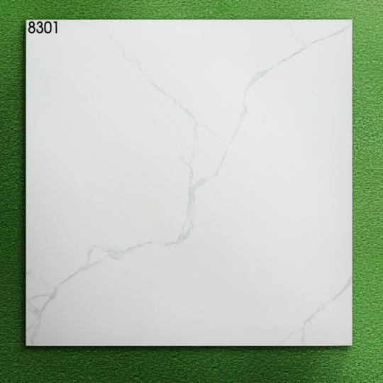 Gạch Lát Nền 80x80 World Tiles 8301