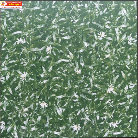 GẠCH LÁT SÂN VƯỜN 50X50 KNM 539