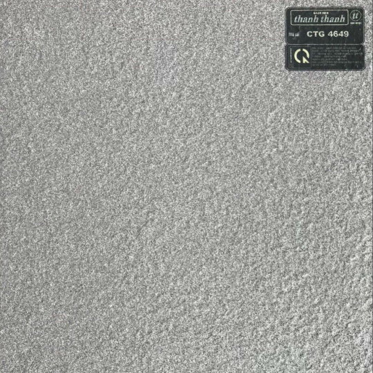 GẠCH ĐÁ LÁT SÂN VƯỜN 40X40 CTG4649