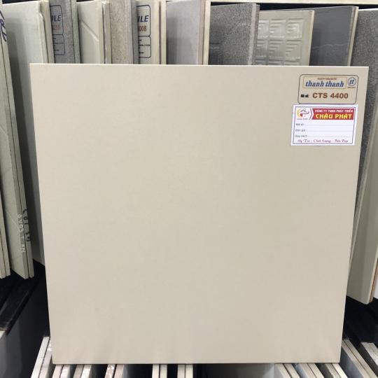 GẠCH ĐÁ LÁT SÂN VƯỜN 40X40 CTS4400