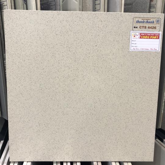 GẠCH ĐÁ LÁT SÂN VƯỜN 40X40 CTS4426