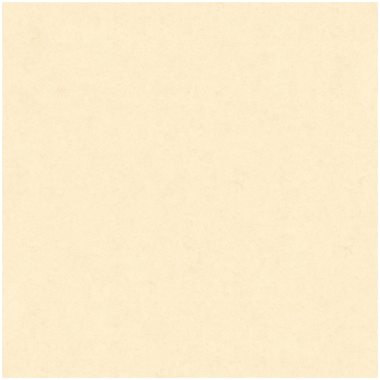 GẠCH LÁT NỀN 60X60 FM605