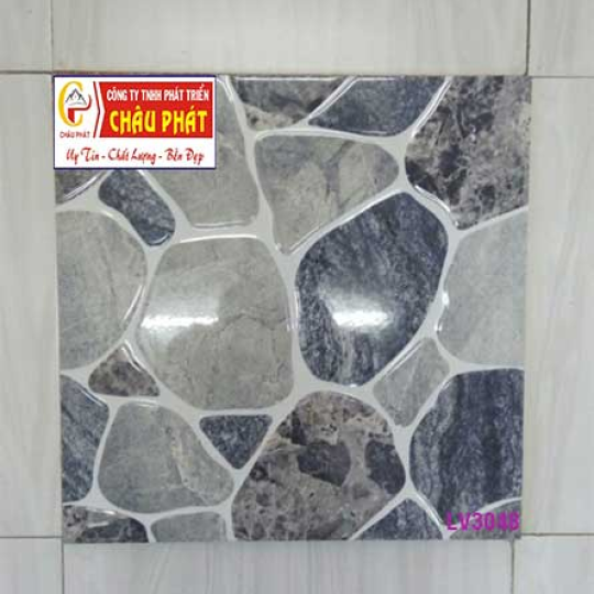 GẠCH LÁT SÀN NƯỚC 30X30 VI TINH HỔ PHÁCH LV3048