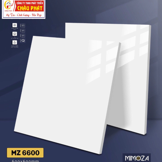 GẠCH LÁT NỀN 60X60 VICENZA MZ6600
