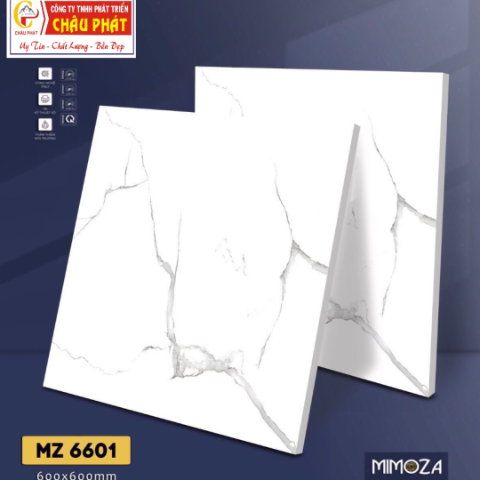 GẠCH LÁT NỀN 60X60 VICENZA MZ6601