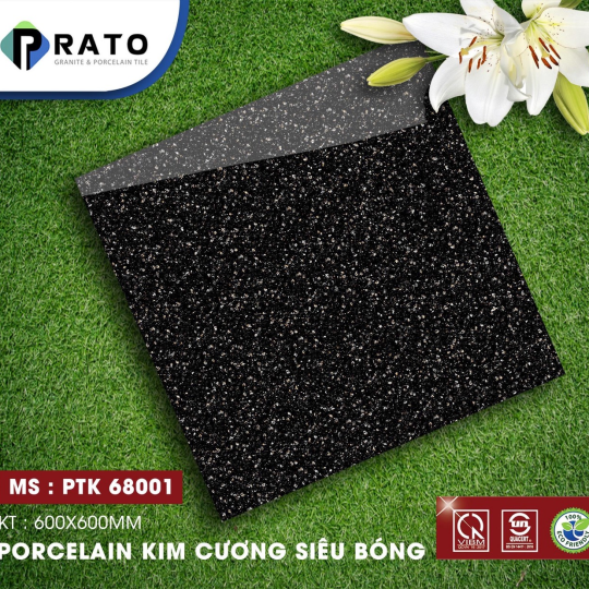 Gạch Lát Nền - Ốp Mặt Tiền 60x60 Vân Đá Hoa Cương Đen CMC PTK68001