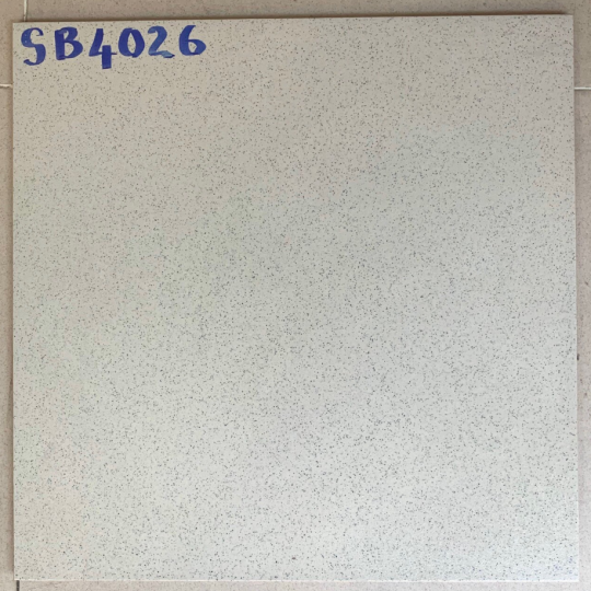GẠCH ĐÁ LÁT SÂN VƯỜN 40X40 SB4026