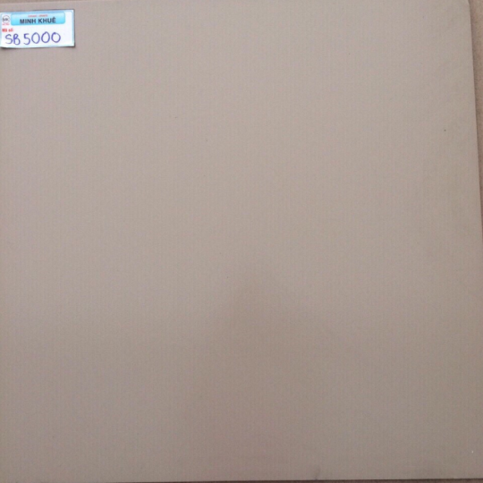 GẠCH ĐÁ LÁT SÂN VƯỜN 50X50 SB5000