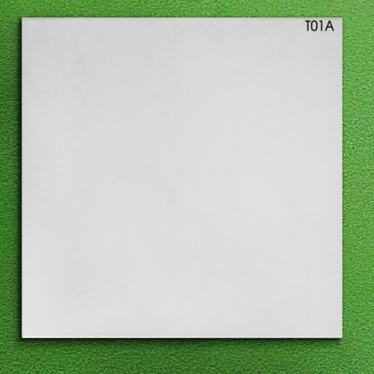 GẠCH LÁT NỀN 40X40 VIGLACERA T01A